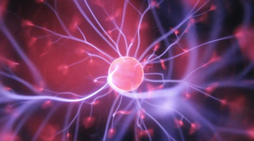 3 Easy Ways to Strengthen Memory and Brain Power